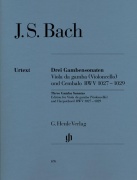 Sonatas for BWV 1027-1029 Viola da Gamba and Harpsichord - violoncello a klavír