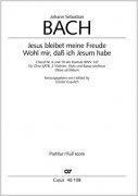Bach Johann Sebastian JESUS BLEIBET MEINE FREUDE (KANTATE BWV 147)