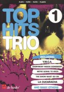 TOP HITS TRIO 1 - 14 hitů pro 3 příčné flétny