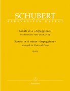 Sonata Arpeggione A minor D 821 - příčná flétna a klavír