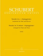 Sonata Arpeggione A minor D 821 - příčná flétna a klavír