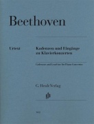 Cadenzas And Lead-ins For Piano Concertos noty pro klavír