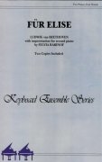 FÜR ELISE ( Pro Elišku ) by Ludwig van Beethoven / 2 klavíry 4 ruce